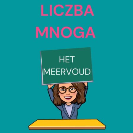 Liczba mnoga rzeczowników w języku niderlandzkim