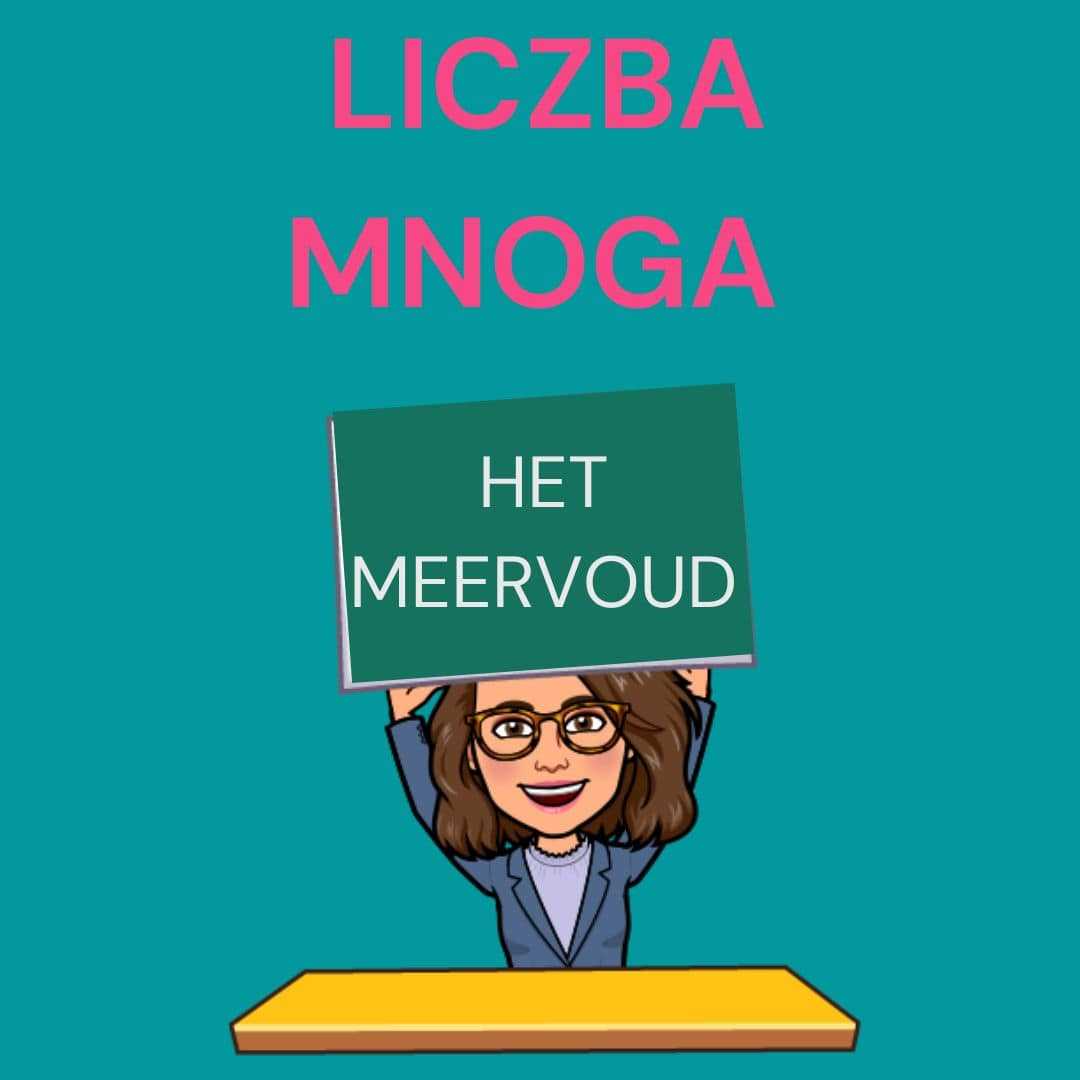 Liczba mnoga rzeczowników w języku niderlandzkim